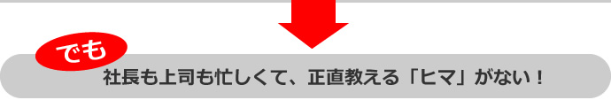 でも、社長も上司も忙しくて、正直教える「ヒマ」がない！
